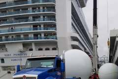 CruiseShipPic