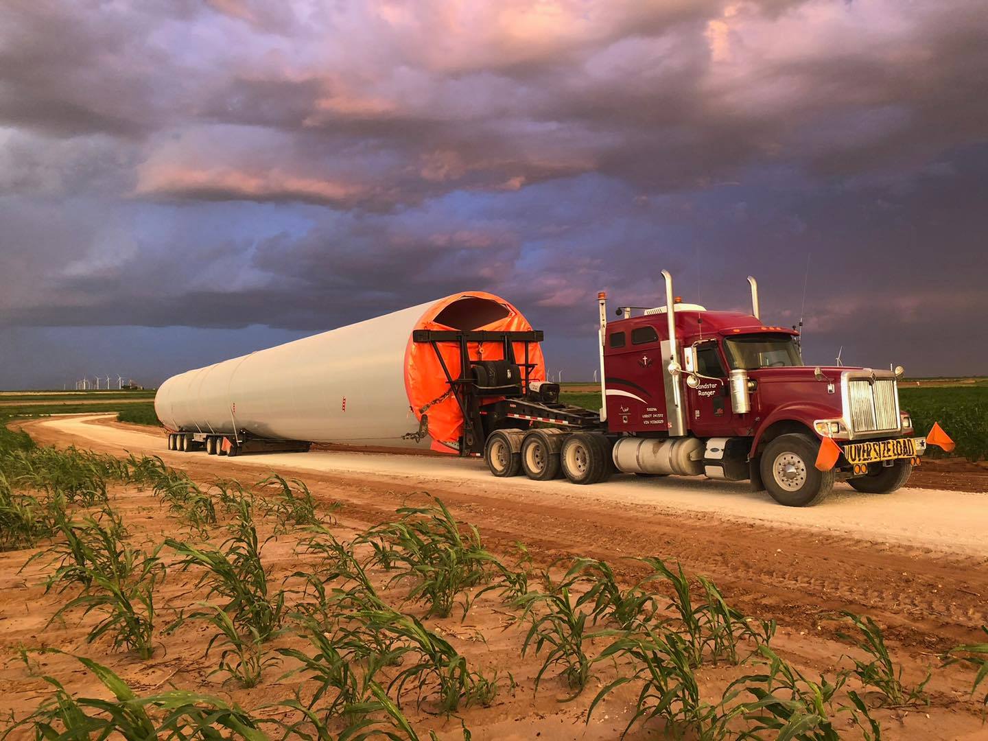 TNTRIPS Permit System Will Experience Temporary Shutdown